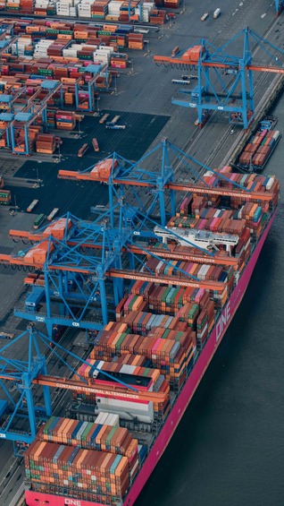 Panoramablick über den Containerterminal im Hamburger Hafen, mit zahlreichen Kränen.
